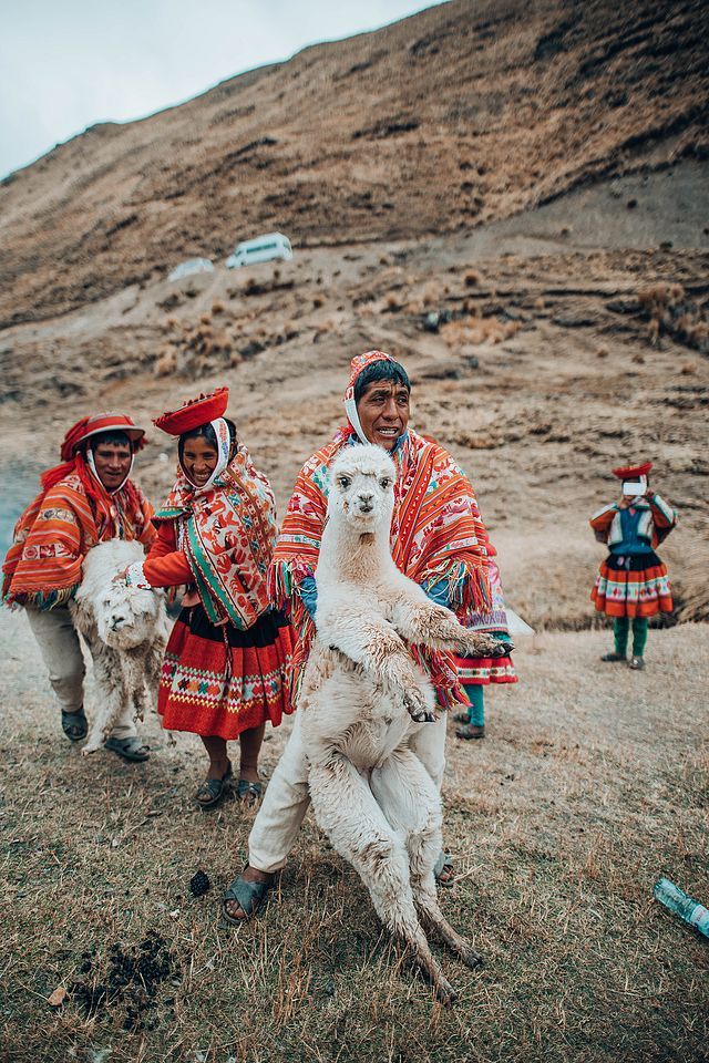 c5540c0a14ed493694937f761f7d86e5